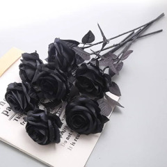 Project_65 (snippet)