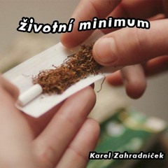 ŽIVOTNÍ MINIMUM
