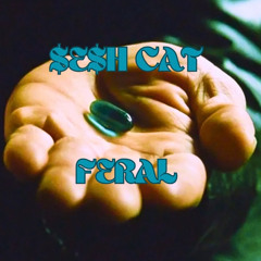 $E$H CAT - FERAL