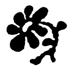 kkikflip