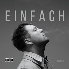 Schwarzfahren Interlude