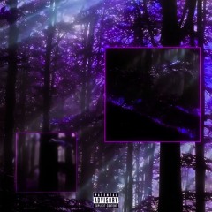 ysl ft. Vermani