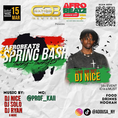 AFRO BEATZ SPRING BASH ‘25