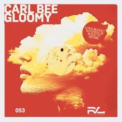 Carl Bee - Nothing Is What It Seems (Original Mix) - Ray Of Light / Sony