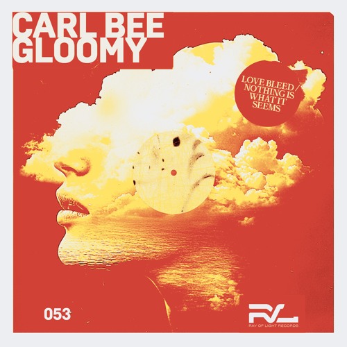 Carl Bee - Nothing Is What It Seems (Original Mix) - Ray Of Light / Sony