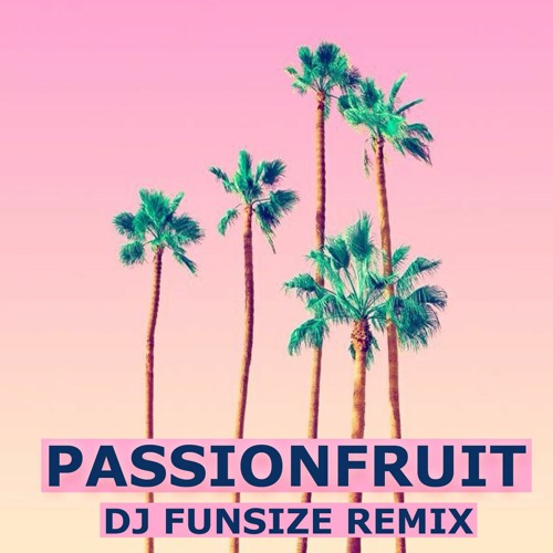 Passionfruit [DJ FUNSIZE REMIX]