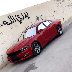 اجنبي هجولة تهييض حصري ..