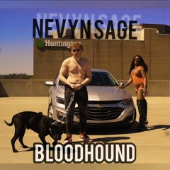 Nevyn Sage - BloodHound