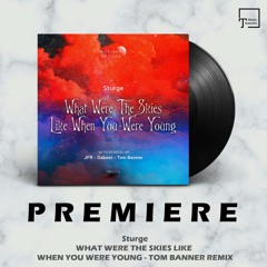 PREMIERE: Sturge - What Were The Skies Like When You Were Young (Tom Banner Remix) [MUSIQUE DE LUNE]