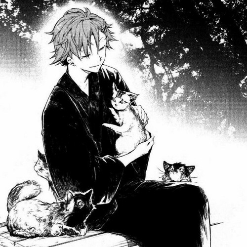 Listen To Fleur — Тёплые Коты.Mp3 By Алинка In I Was Just A Kid.