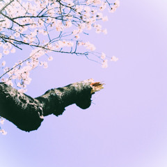 [Suno AI] 雪桜 (J-core mix)