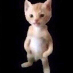 poooo (prod. owniece)