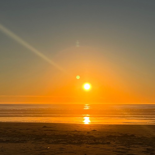 Elementry - Liquid Sunshine - Jungle Set 2024