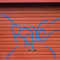 PART 2 GARAGE IN THE SHED 2021