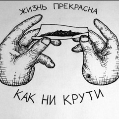 Зиплок
