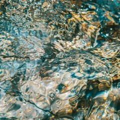 echoes of summer