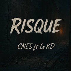Cnes ft KD-Risques
