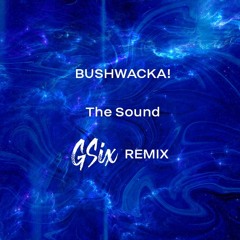 Bushwacka! - The Sound (GSix Remix)