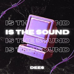 Is The Sound (Original Mix)