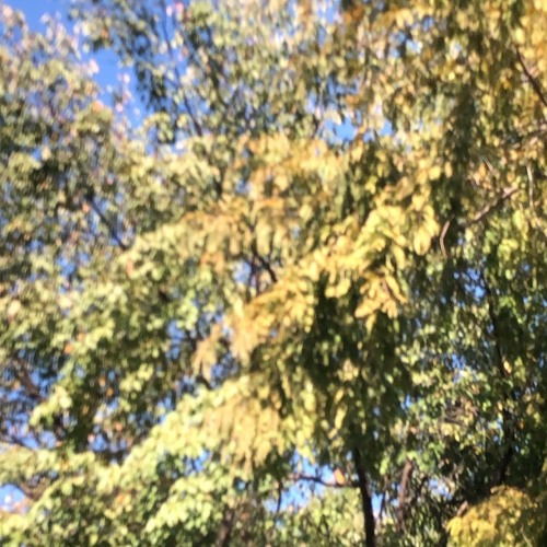 [cover] Giveon - World We Created
