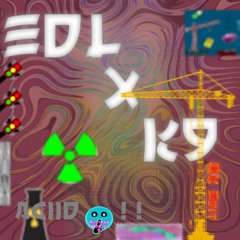 EDL x K9 - ACIIID (Cr11 & S8 Remix)