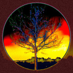 I took morphine at 3:47 am and now im dizzy