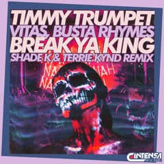 Break Ya King (Shade K & Terrie Kynd Remix) [Ya disponible]