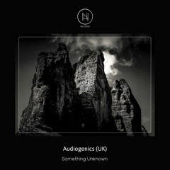 PREMIERE : Audiogenics - Into The Unknown (Original Mix) [Neele Records]