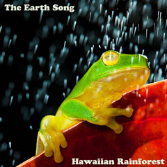Relaxing Afternoon Rain