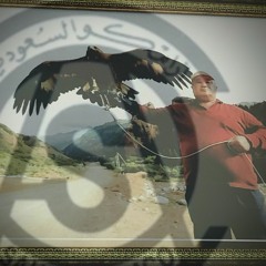 saudi aramco freestyle