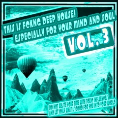 THIS IS FCKNG DEEP HOUSE VOL. 3