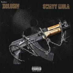 Xclusiv X Swayy Mula - Draco