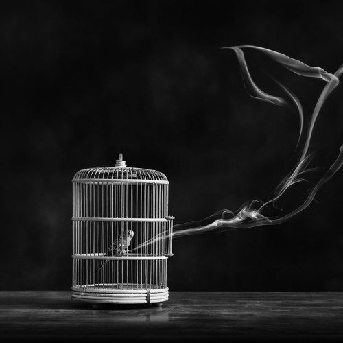 Impediments to Transformation of Consciousness