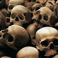 Bones