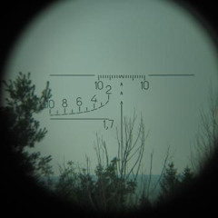 {{NETTA}} {{{KRXXK}}}