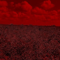 Race Through Hell ─ Rune Kart