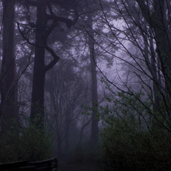 Renesmees Lullaby | Slowed down + Reverb