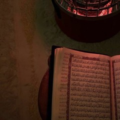 تلاوات د.محمد رفعت
