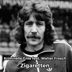 Kriminelle Ente feat. Walter Frosch - Zigaretten (TEKK)
