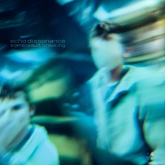 somersault breaking - echo dissonance