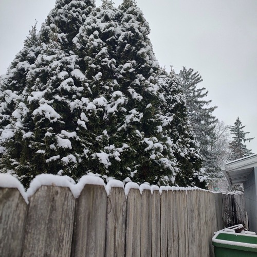 Snowimg Again