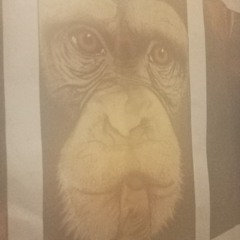 Fruit Monkey broken thought
