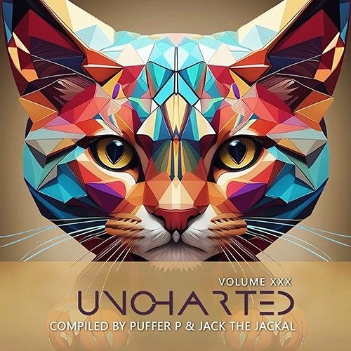 Nevalis Ft. Etno Grupa Iva - DodolElectro (Original Mix)