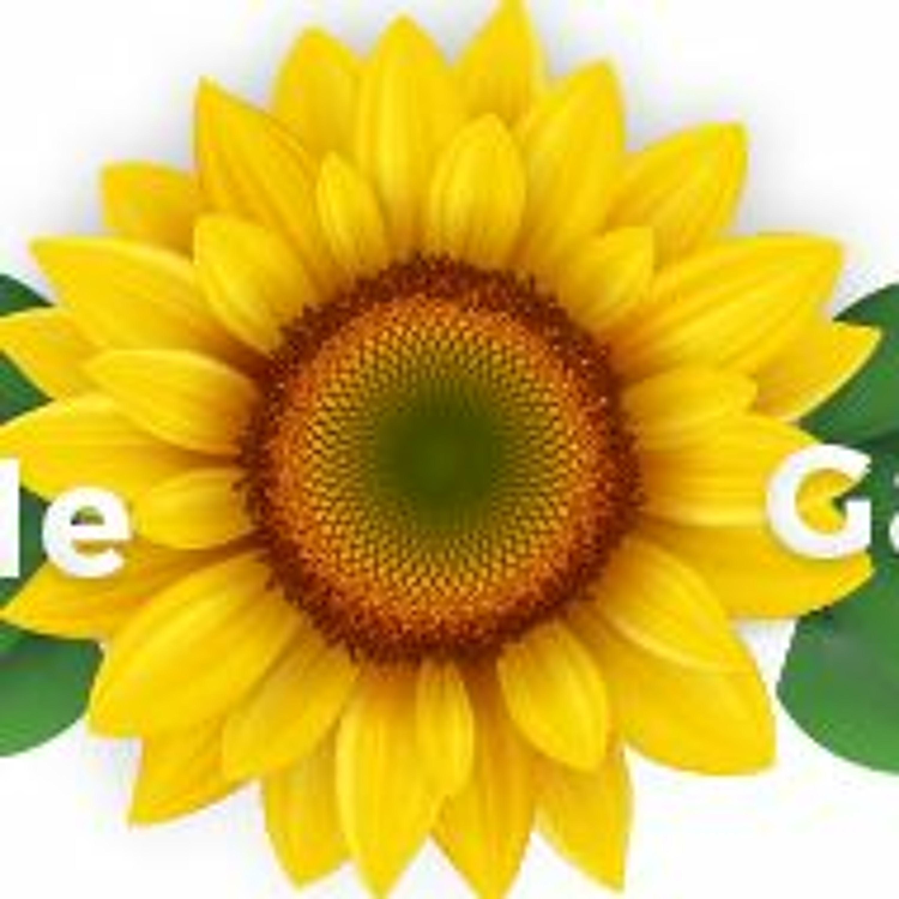 Dont Panic Its Organic Radio show  2020 - 02 - 29