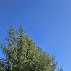 Langiri-Aazuvaan-moonekey-Dhiggaru-DZJ-2_6.mp3