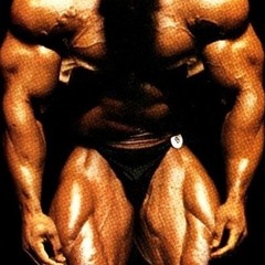 Gym 2.  Controlled insanity