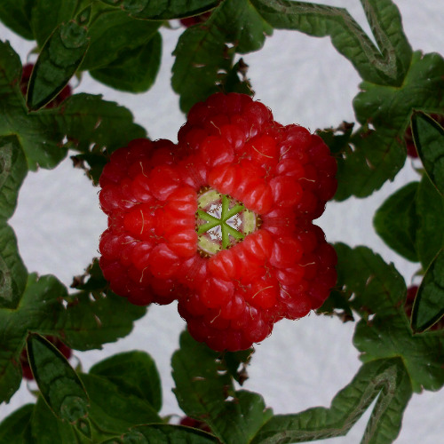 the kindness that I need