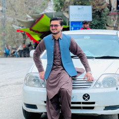 Parti song