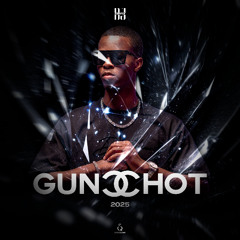 DJ ZERFLY - GUNSHOT (2025)