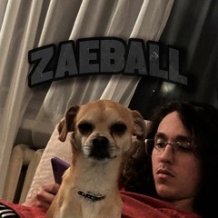 ZAEBALL [prod. @lemonboijay]